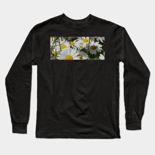 A Field of Daisies Long Sleeve T-Shirt